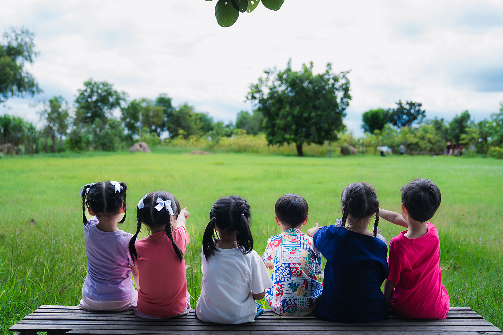 Steam Education 2025